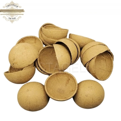 Hémisphère en forme de coquille de papier Feux d'artifice En forme de coquille 2' 3' 4' 5' 6' 8 pouces